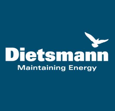 logo dietsmann